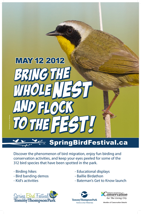 Spring Bird Festival